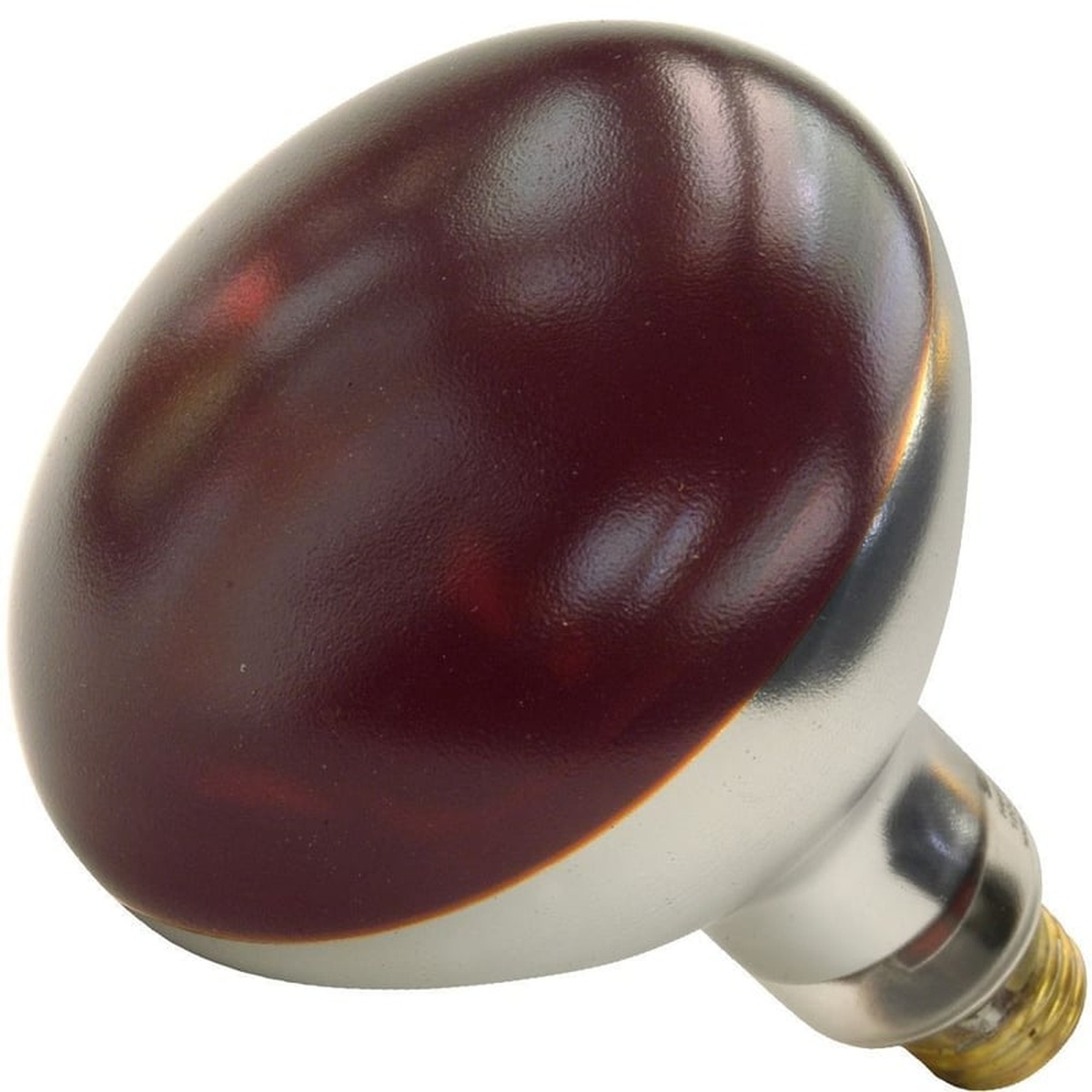 Shat-R-Shield 01699W 250W R40 red shatter-resistant incandescent heat lamp with E26 medium base