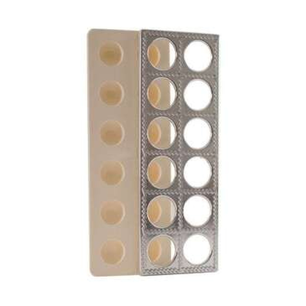 Norpro 1043 Ravioli Maker showing beige plastic mold tray and silver metal press plate with 12 circular cavities