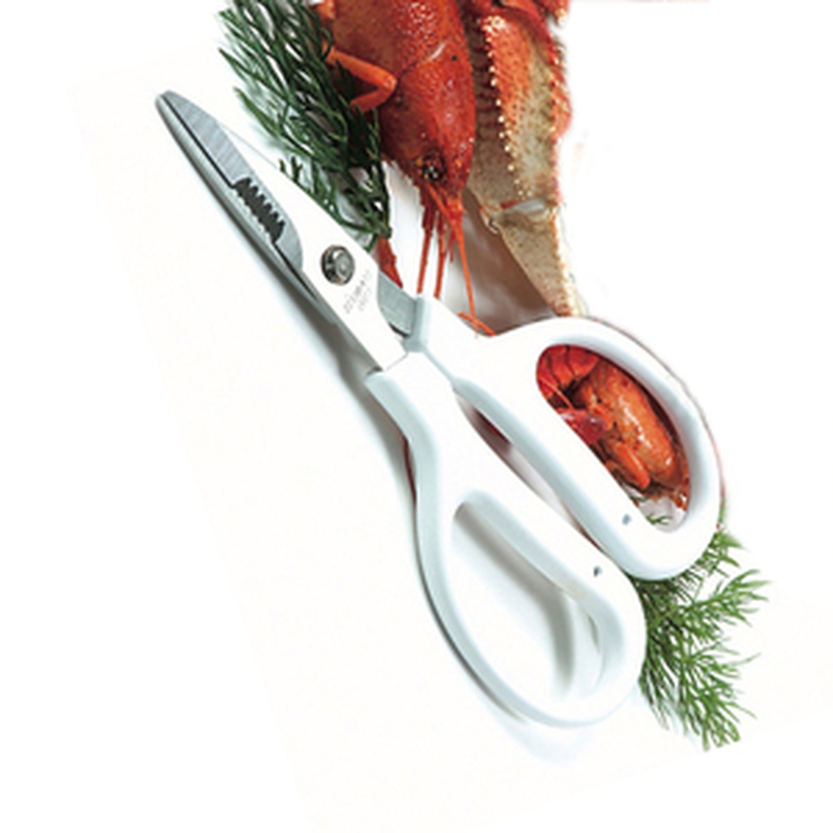 Norpro Shanghai Crab and Lobster Scissors with serrated stainless steel blade and white plastic handles