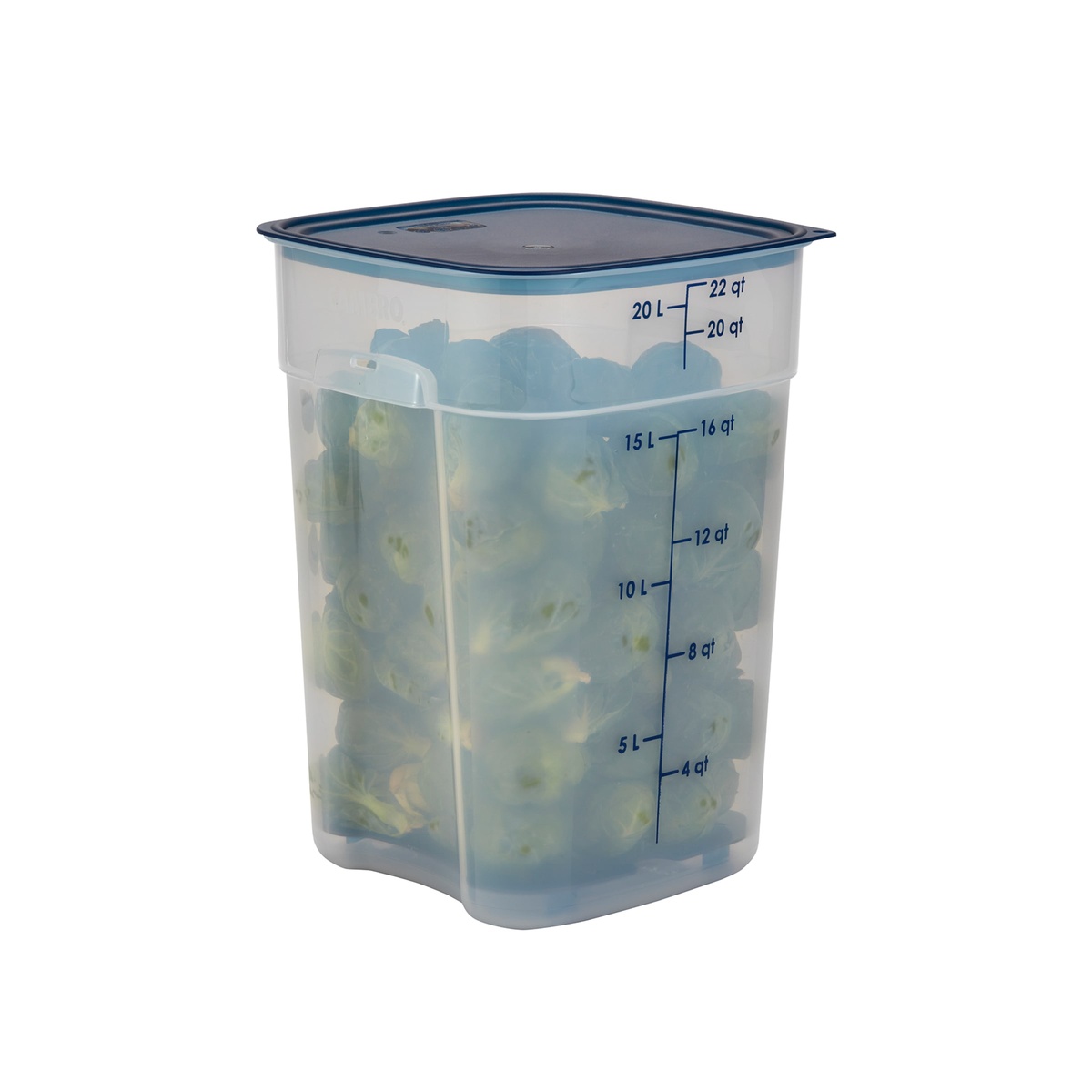 Cambro 22-quart FreshPro translucent container filled with broccoli florets and fitted with a blue lid, on white background