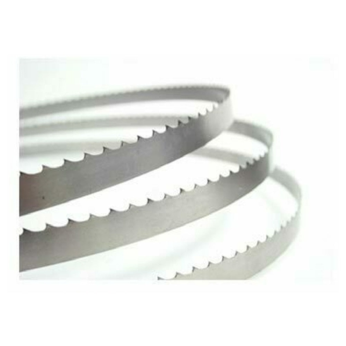 Alfa International 420-116 steel band saw blades coiled, showing serrated cutting teeth