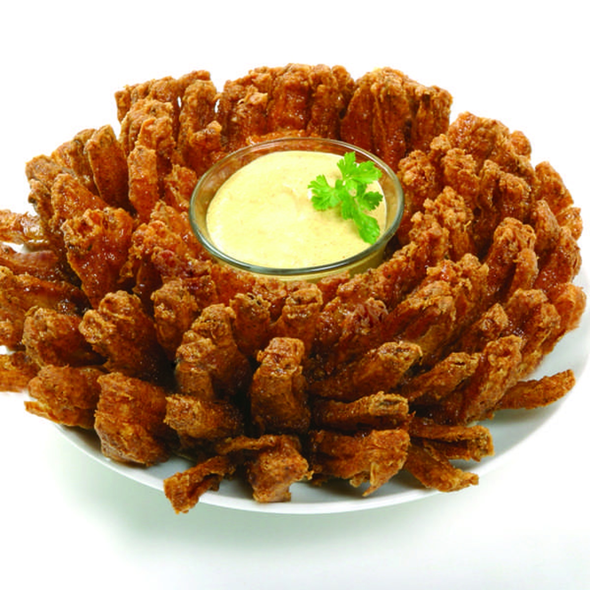 Finished deep-fried onion blossom on a white plate with dipping sauce