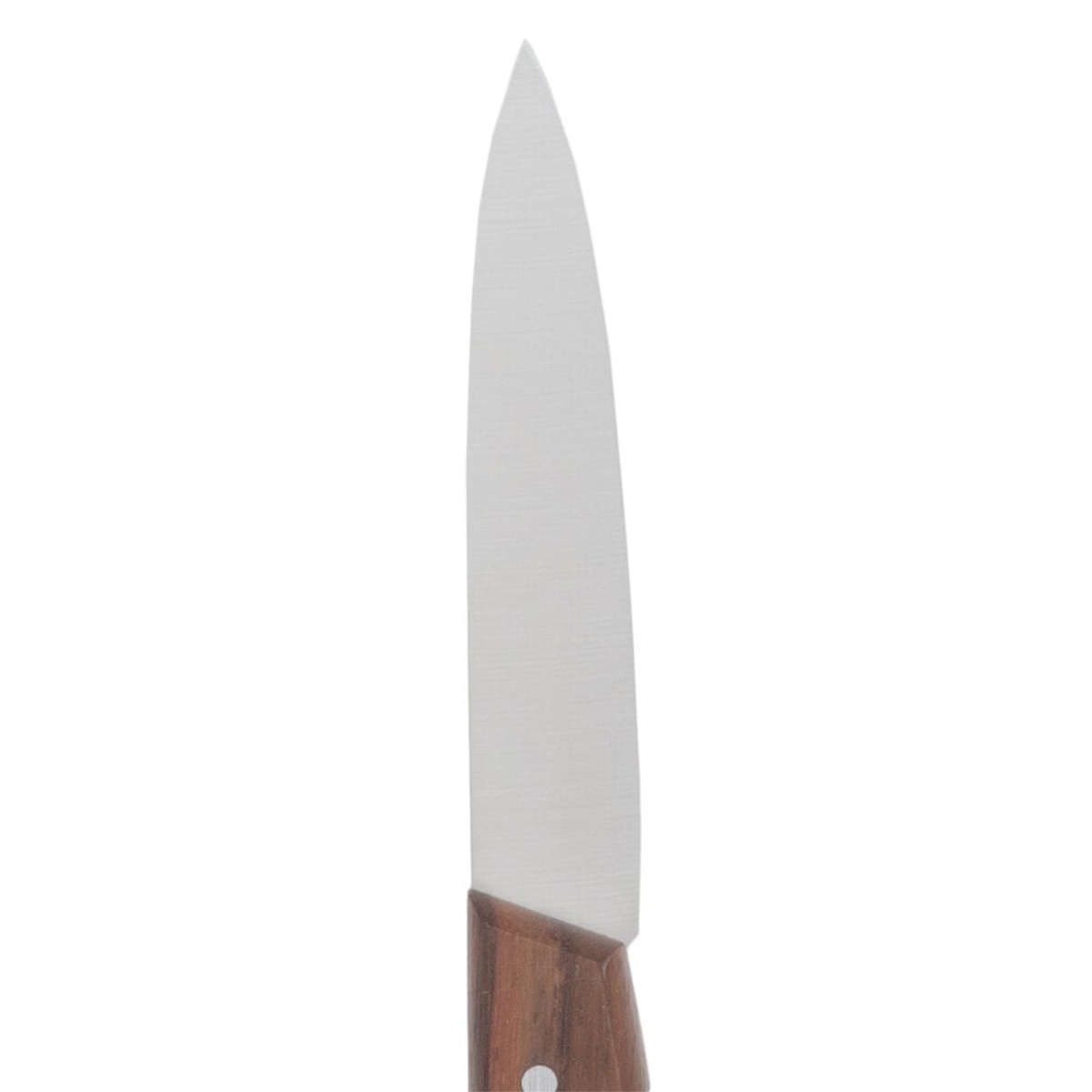 Close-up of the Victorinox paring knife spear point blade showing the fine edge and polished stainless steel