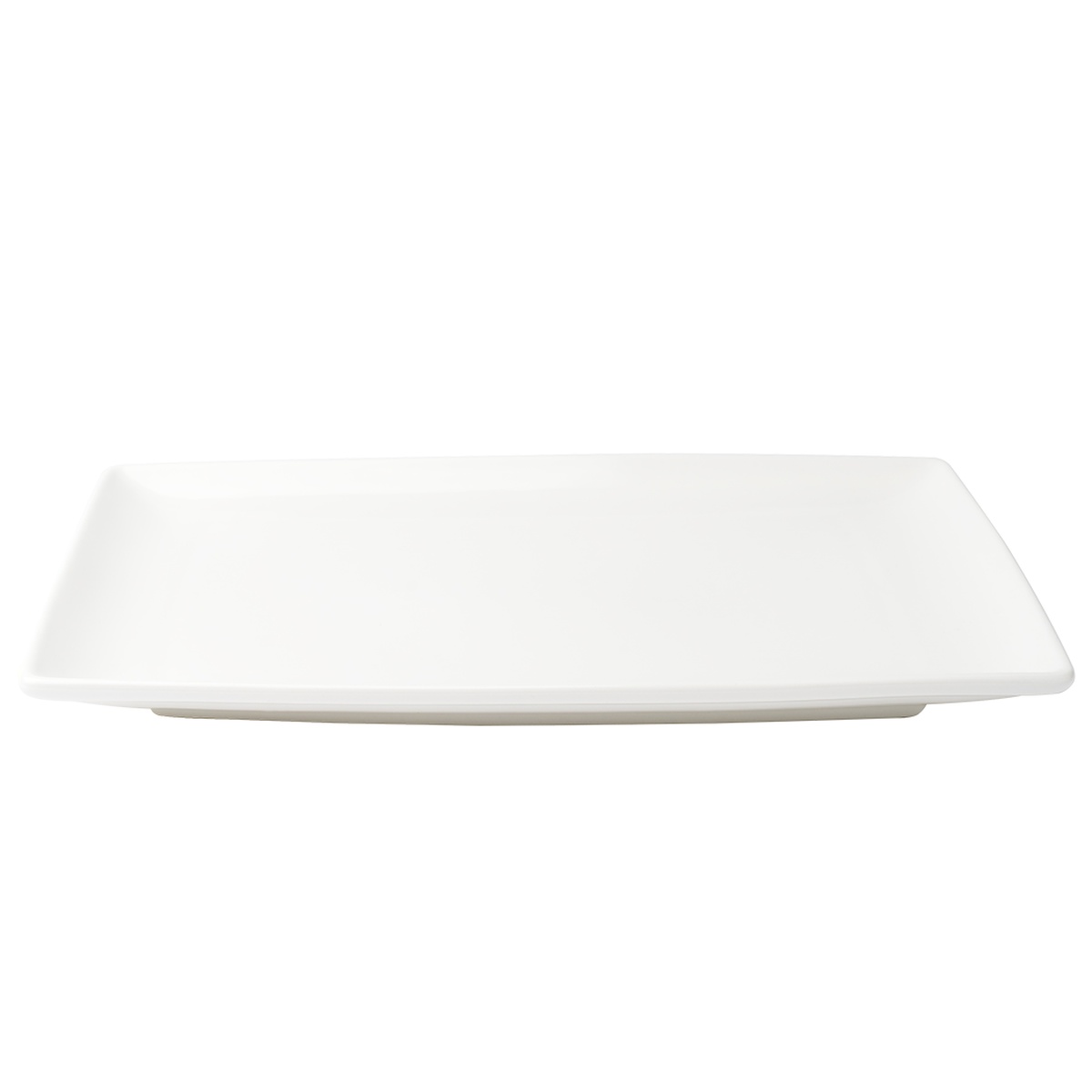 Browne Foundation rectangular coupe plate angled side view showing coupe rim profile