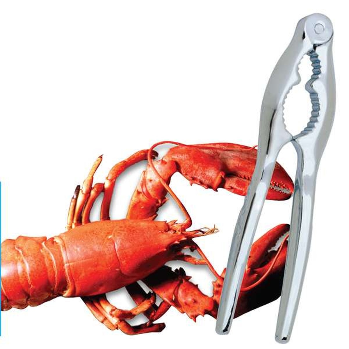 Norpro 6523D chrome nut and lobster cracker displayed alongside a whole cooked lobster