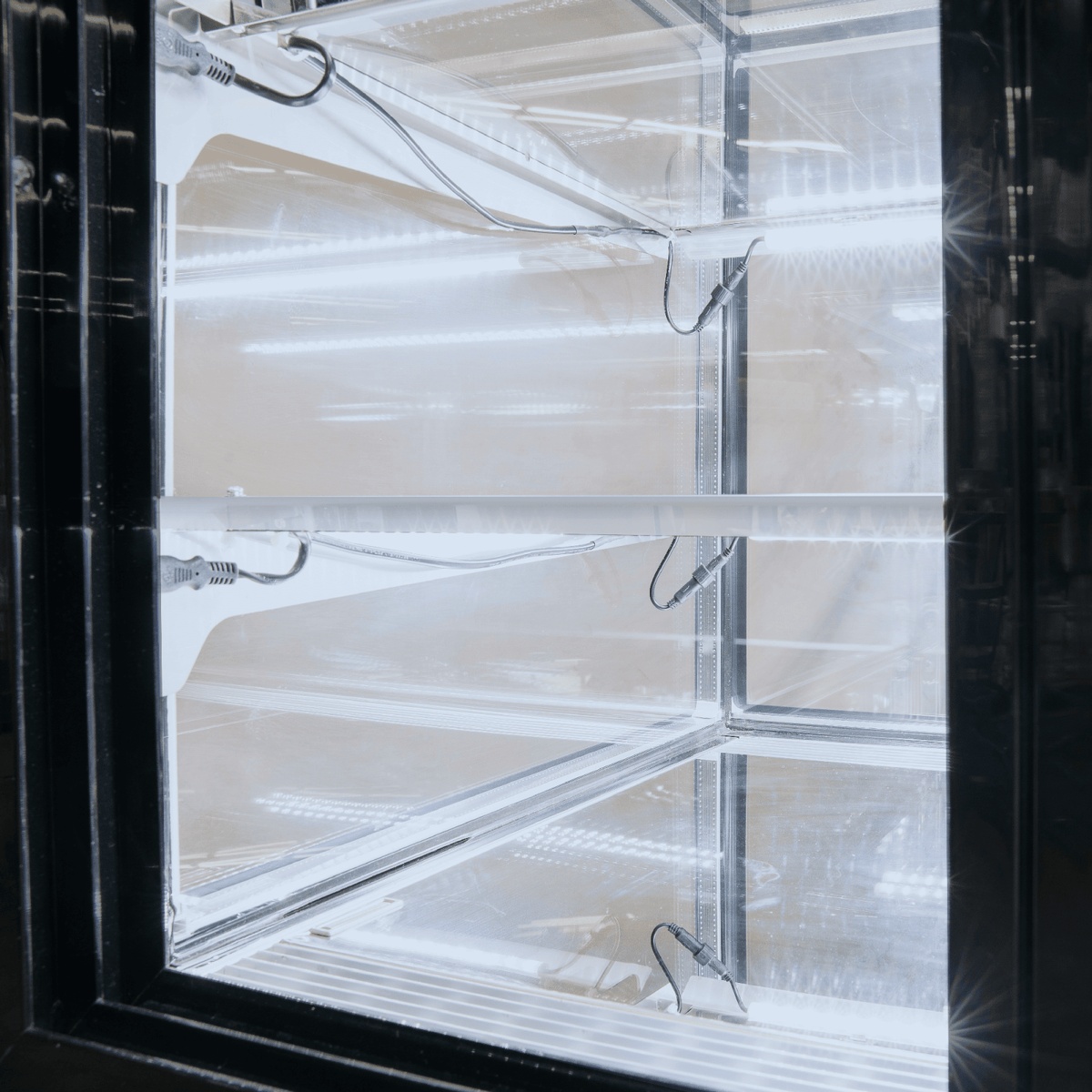Close-up interior view of the Enhanced ECD-36-2-HC displaying bright LED strip lighting illuminating two adjustable glass shelves