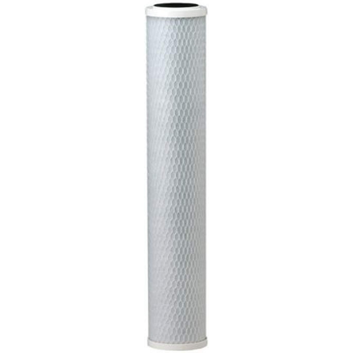 Everpure EV910867 CG53-20S 20-inch carbon block water filter cartridge
