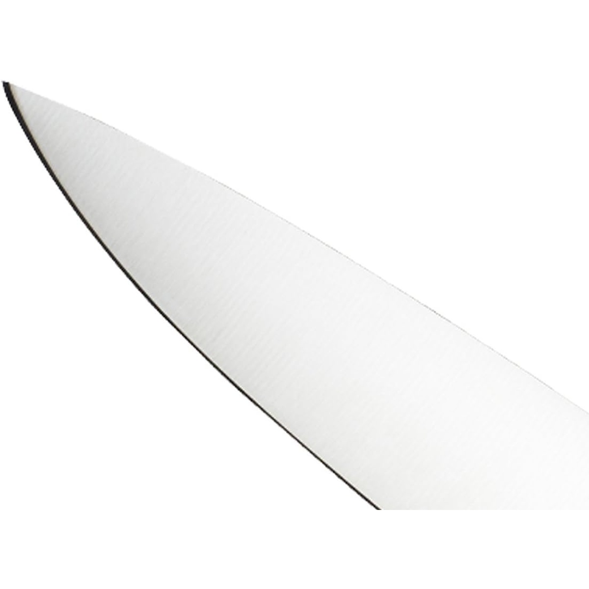 Detail of the taper-ground blade edge