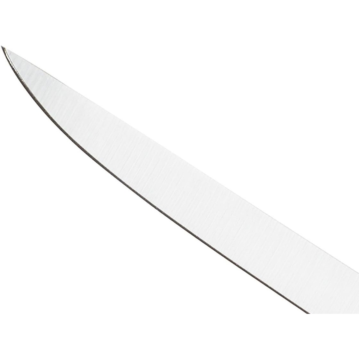 Close up of the high carbon Japanese steel blade edge