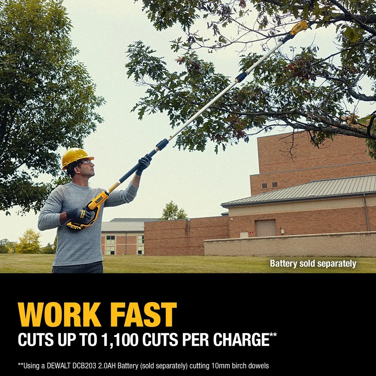 DeWALT DCPPR320B 20V MAX 1-1/2 in. Cordless Pole Pruner trimming overhead tree branches in outdoor property maintenance work