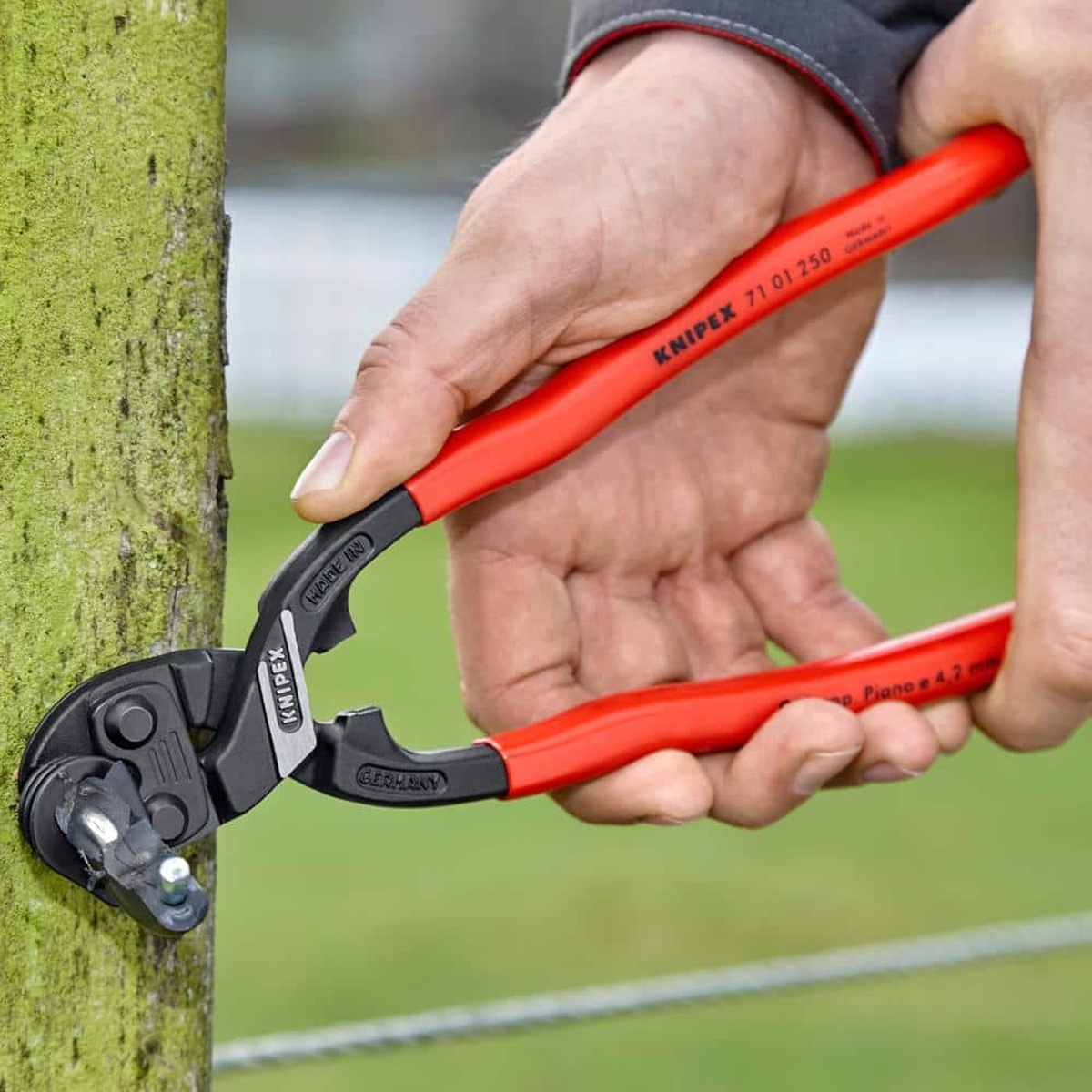 KNIPEX 10 in. XL CoBolt Lever Action Bolt Cutters with 64 HRC Cutting Edge cutting a fence fastener on an outdoor wood post during wire fencing work