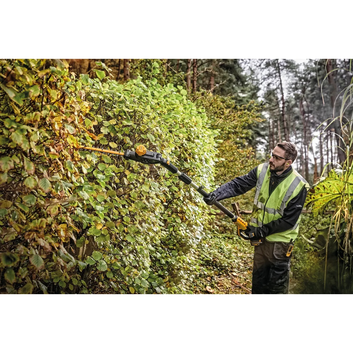 DEWALT 20V MAX 22-in. Pole Hedger Trimmer side trimming a hedge with the articulating head angled for controlled cutting in a garden setting