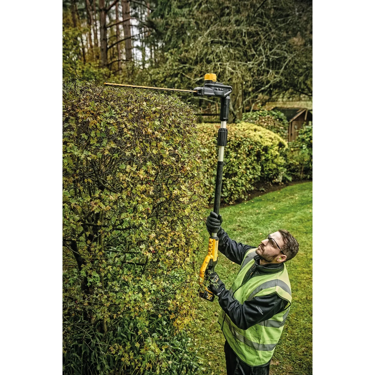 DEWALT 20V MAX 22-in. Pole Hedger Trimmer cutting the top of a tall hedge in a landscaped yard while the operator works from the ground