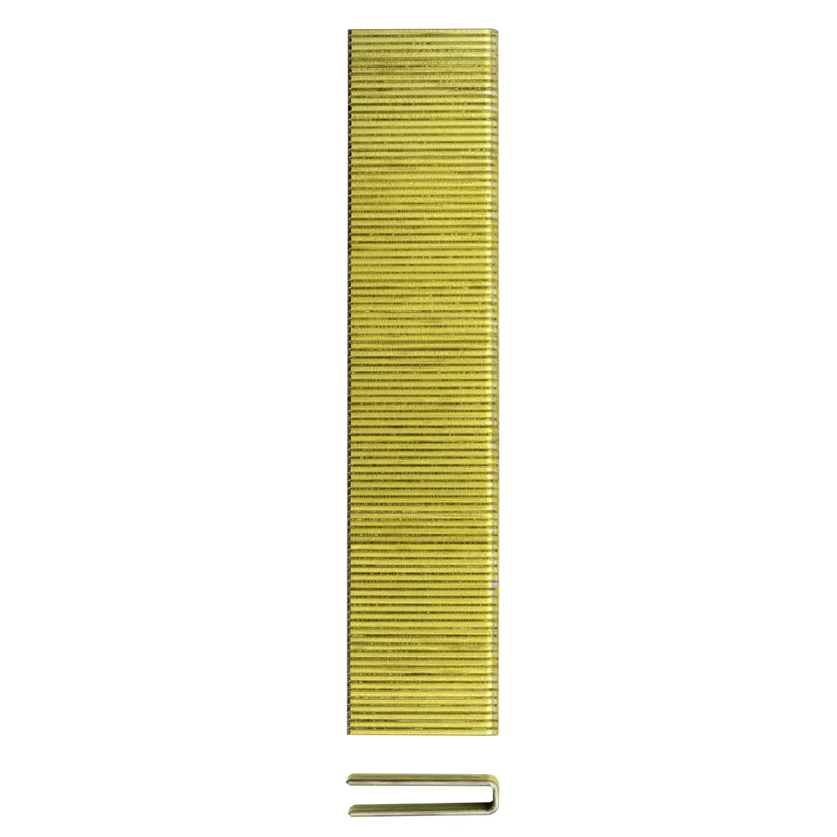 Close-up of DeWALT DNS18100-2 18 gauge narrow crown staple strip showing 1/4 inch crown and 1 inch leg profile for stapler compatibility checks