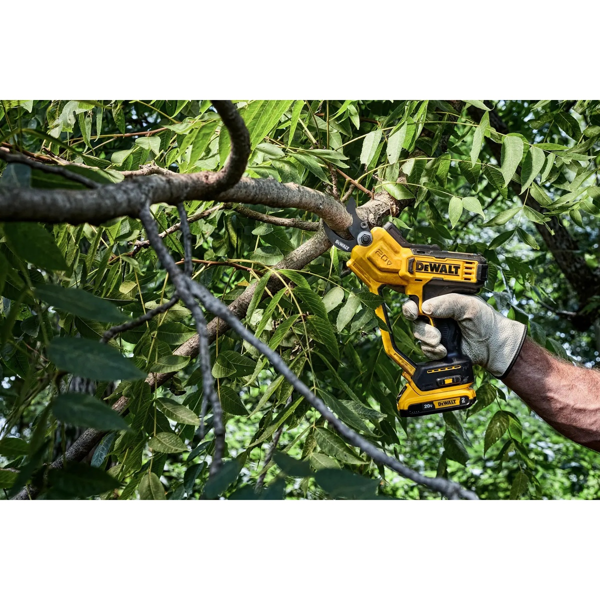 DEWALT DCPR320B 20V MAX 1-1/2 in. cordless pruner cutting a tree branch in a dense outdoor canopy during pruning work