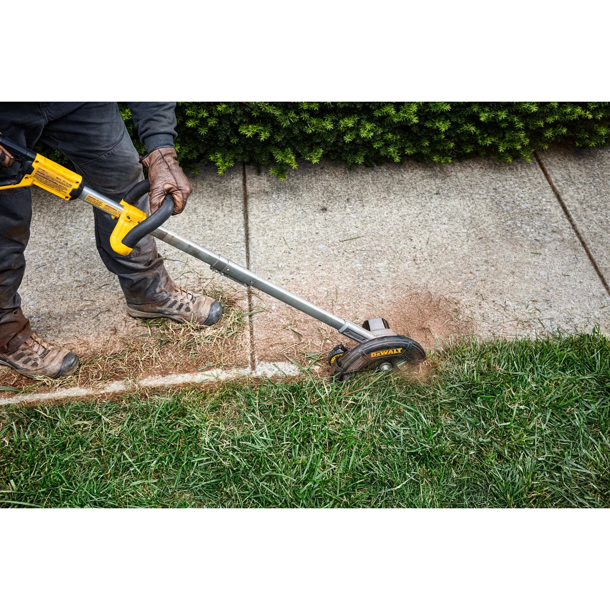 DEWALT 20V MAX Brushless Cordless Edger cutting a clean lawn edge beside a concrete sidewalk in a residential landscape