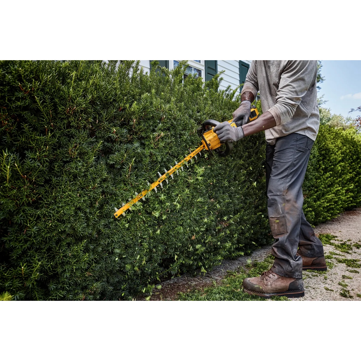 DEWALT 60V MAX 26-in. Brushless Cordless Hedge Trimmer cutting a dense privacy hedge beside a house during outdoor landscape trimming