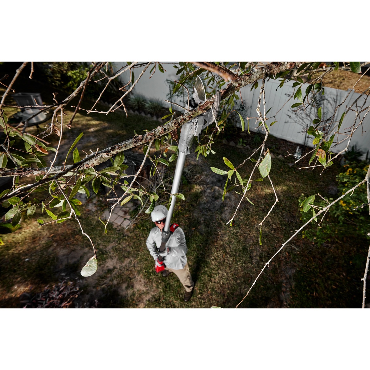 Milwaukee M18 Brushless Telescoping Pole Pruning Shears cutting a tree branch overhead during outdoor pruning work