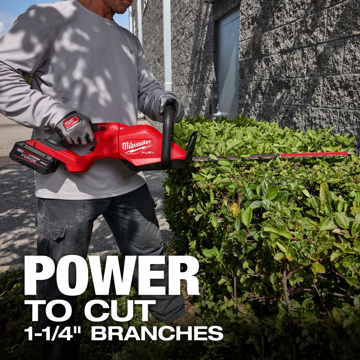 Milwaukee M18 FUEL 30 inch Hedge Trimmer cutting dense hedge growth beside a commercial building during landscape maintenance work