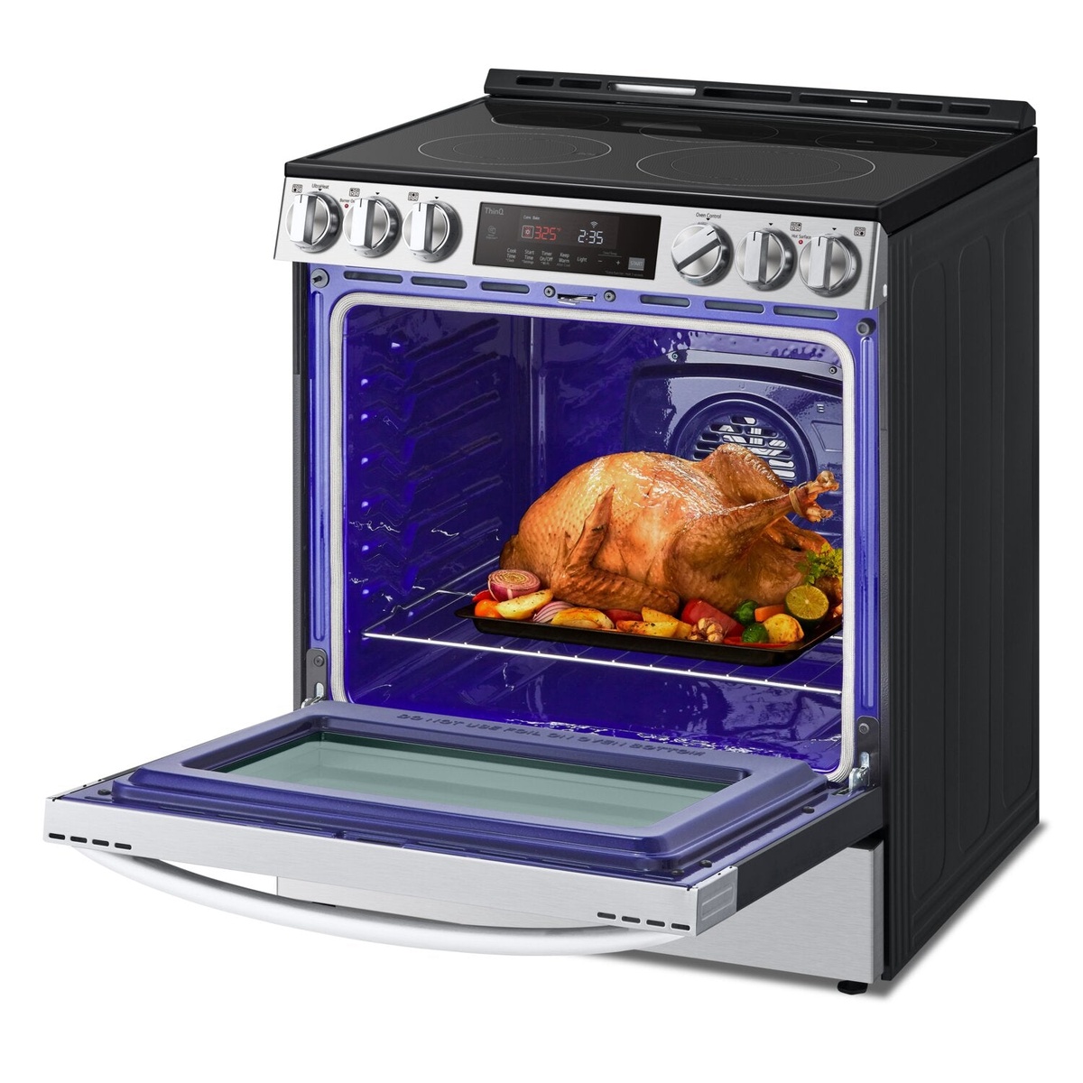 Spacious oven with a turkey roasting inside