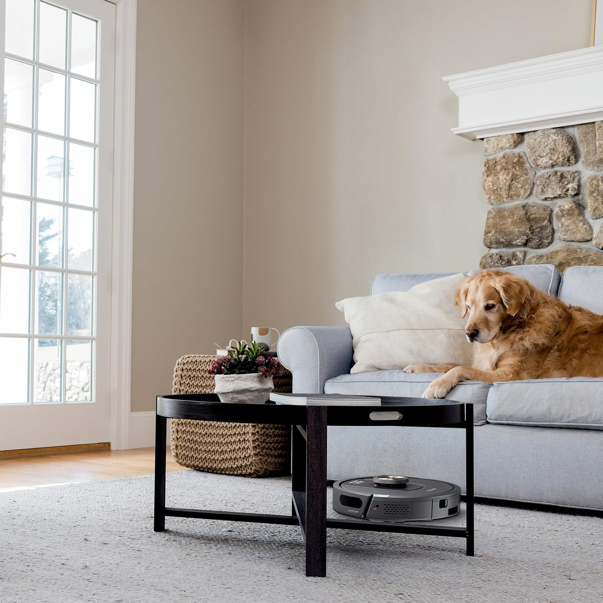 Robot vacuum moving near a sofa while a dog rests on top