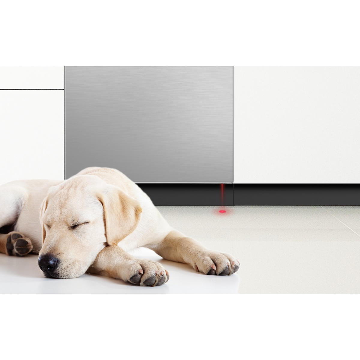 A sleeping puppy on the floor in front of a built-in dishwasher, suggesting quiet operation