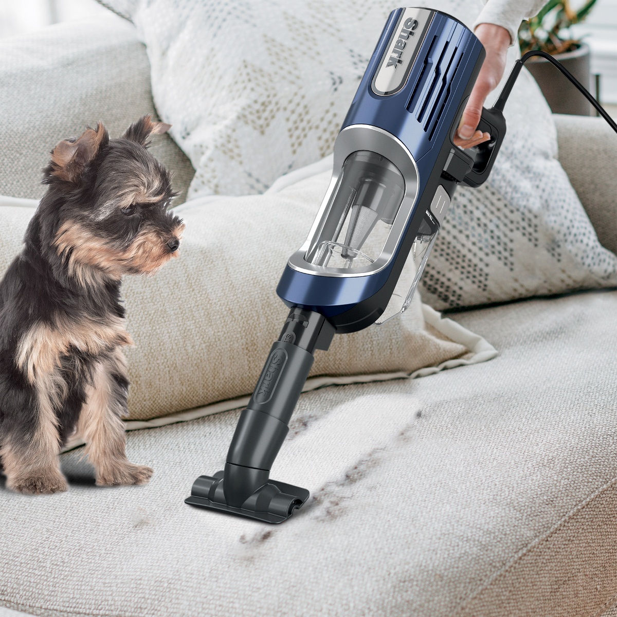 Handheld Shark vacuum being used to clean pet hair from a sofa cushion near a small dog