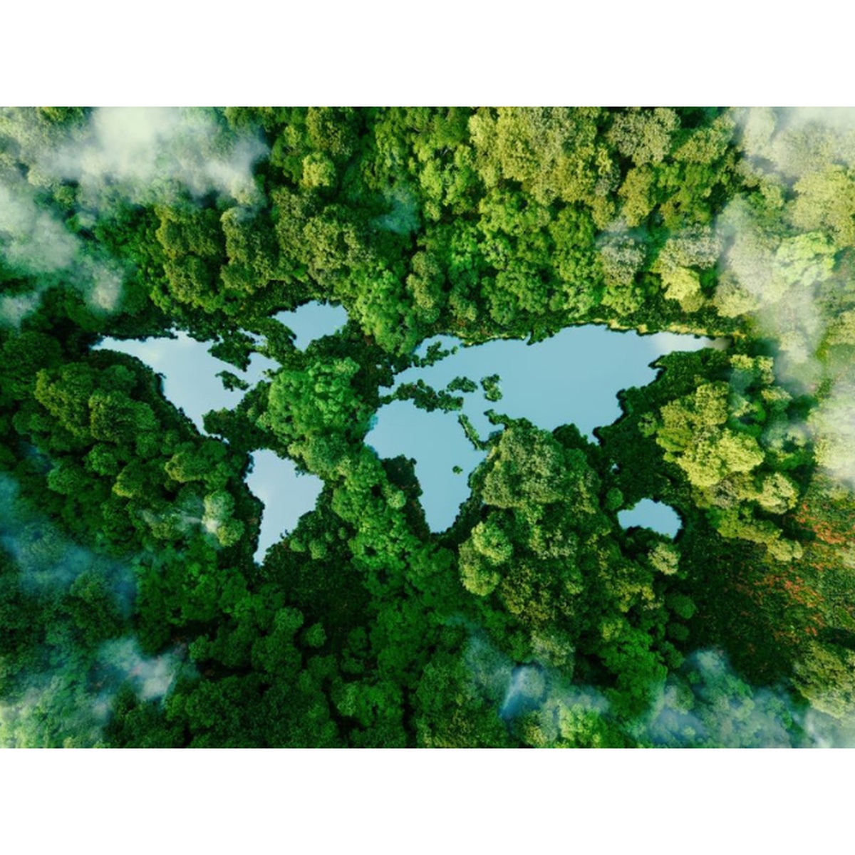 Aerial view of a green forest surrounding blue water